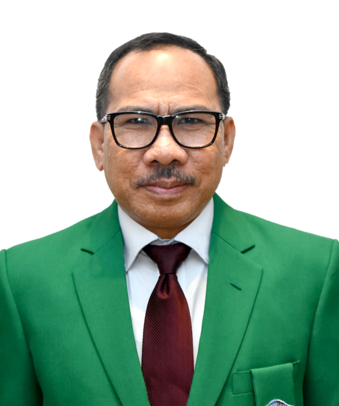 Prof. Dr. Ir. H. Hanafi Ashad, MT., IPM.